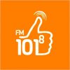 Радио 101.8 FM